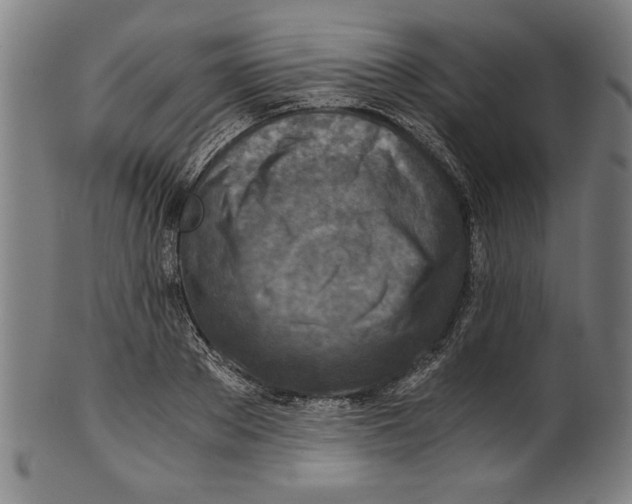 X0000100900889200807220949