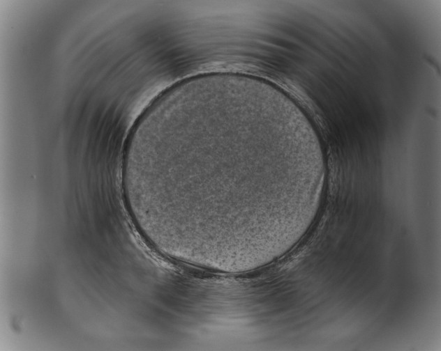 X0000100900896200807220949