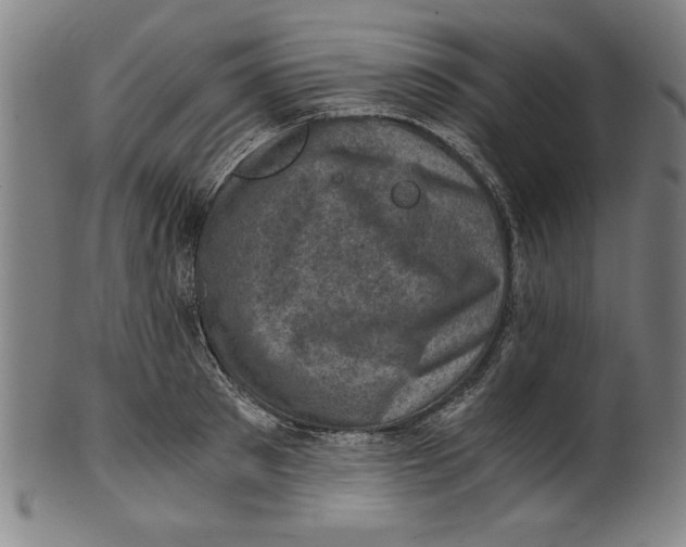 X0000100900897200807220949