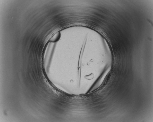 X0000100900898200807220949