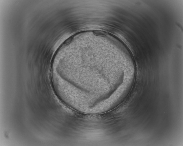 X0000100900901200807220949