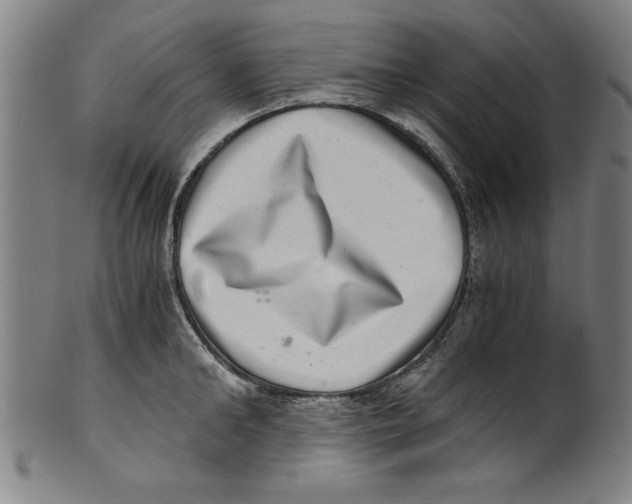 X0000100900902200807220949