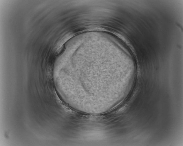 X0000100900905200807220949