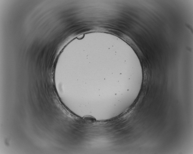 X0000100900908200807220949