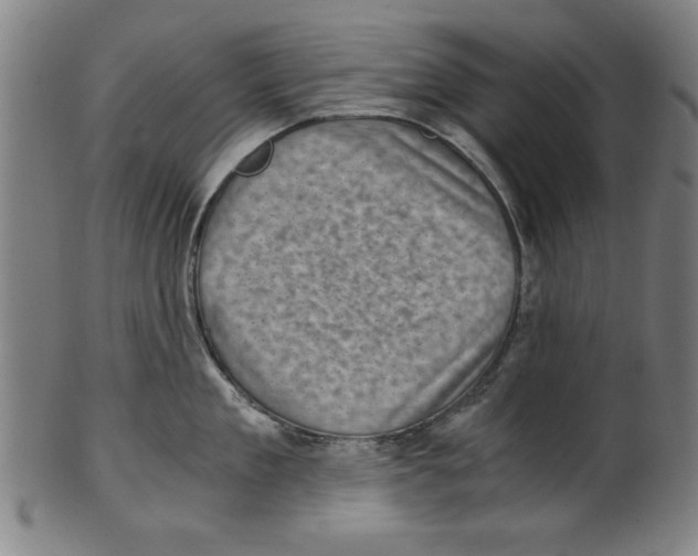 X0000100900909200807220949