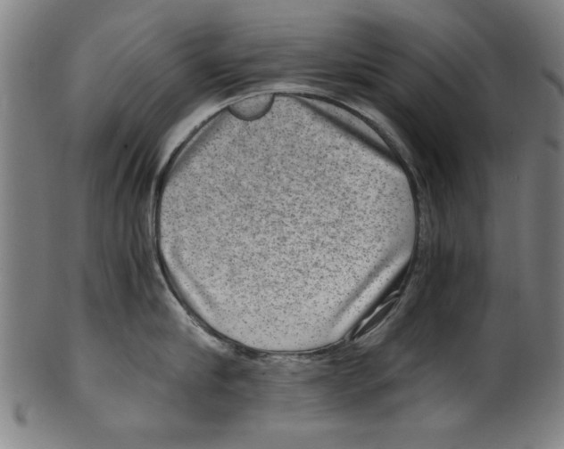 X0000100900910200807220949