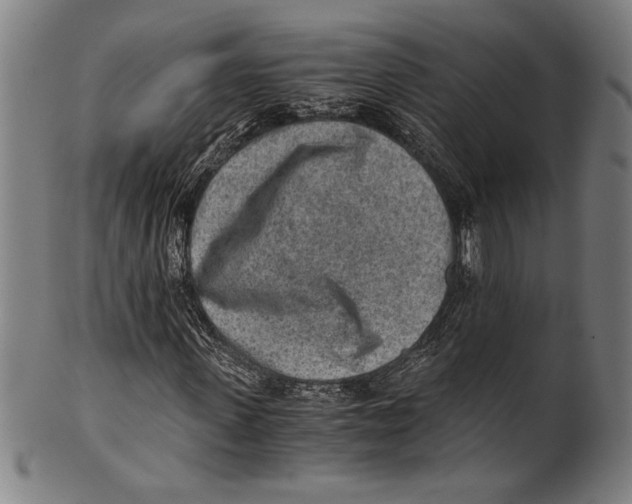 X0000100900915200807220948