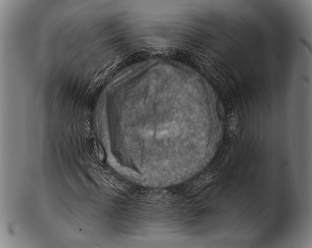 X0000100900916200807220948