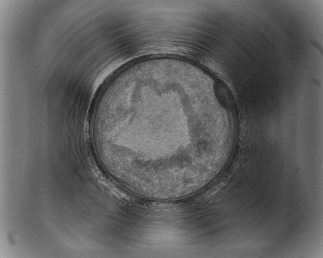 X0000100900928200807220948