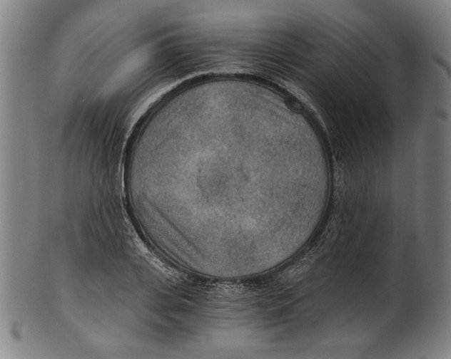 X0000100900935200807220948