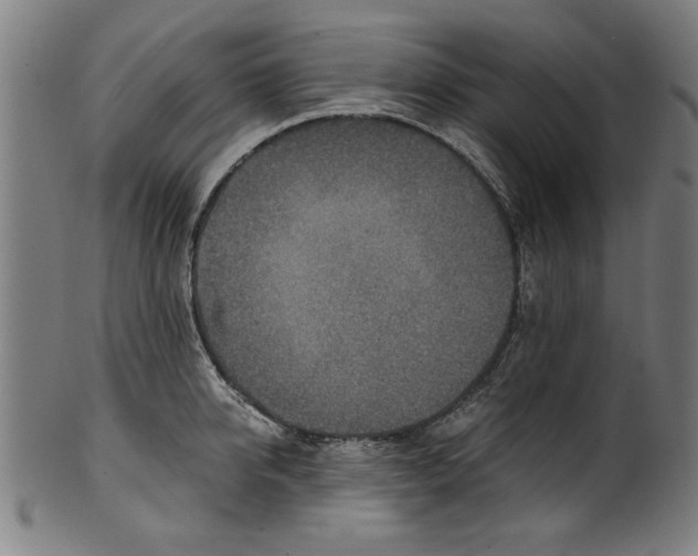 X0000100900950200807220948