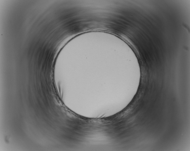 X0000100900956200807220949