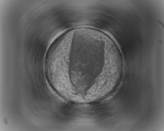 X0000100900957200807220949