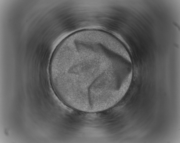 X0000100900959200807220949