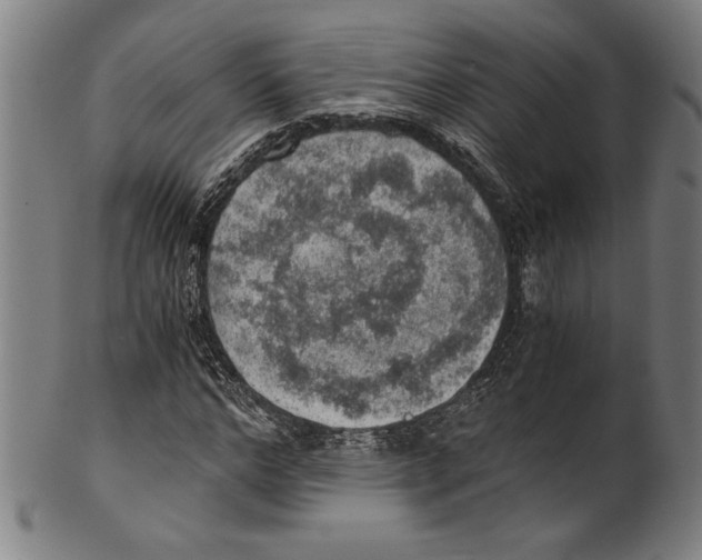 X0000100900968200807220948