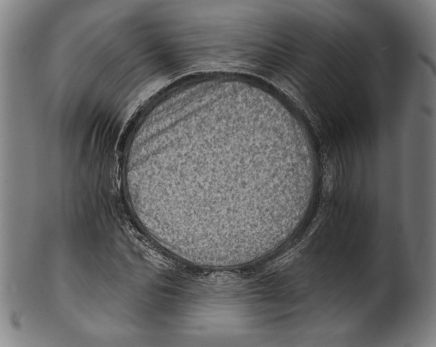 X0000100900974200807220948