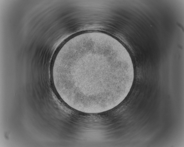 X0000100900980200807220948