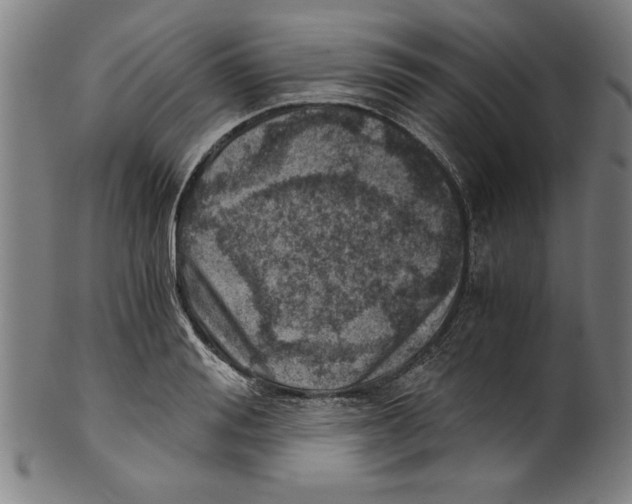 X0000100900988200807220948