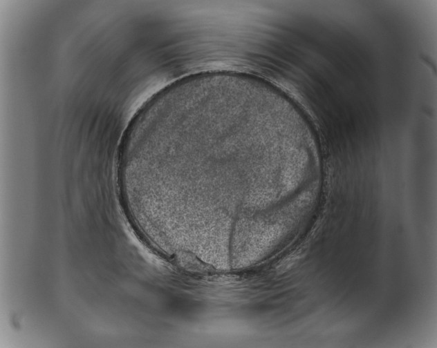 X0000100900991200807220947