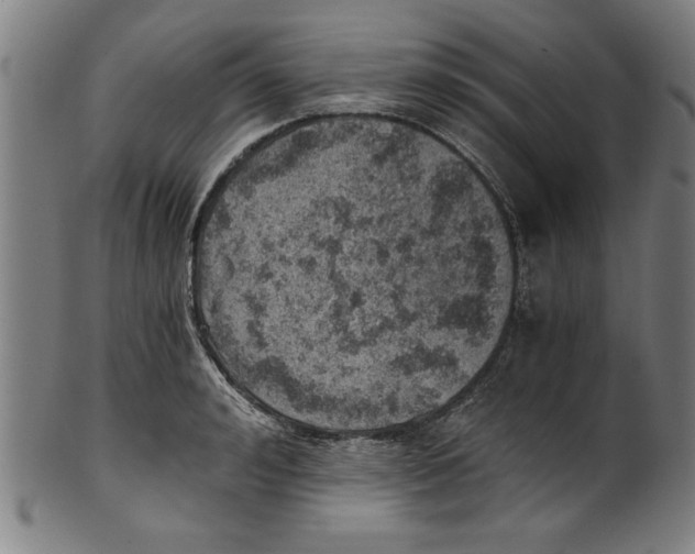 X0000100900992200807220947