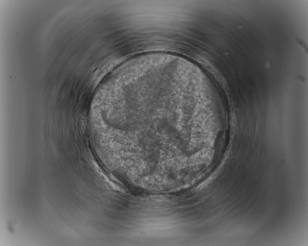 X0000100900993200807220947