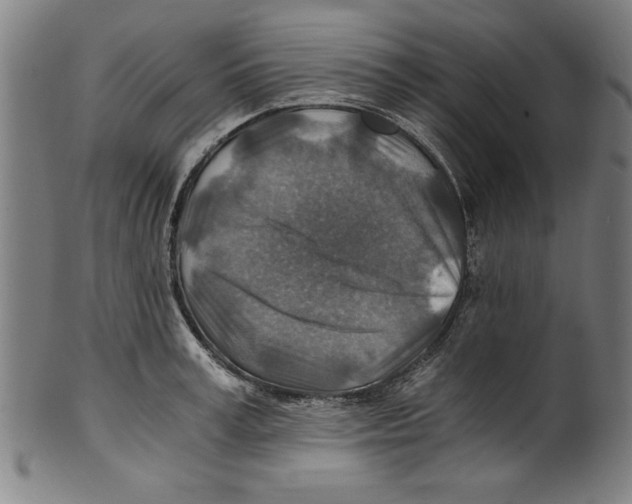 X0000100900995200807220947