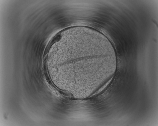 X0000100900996200807220947