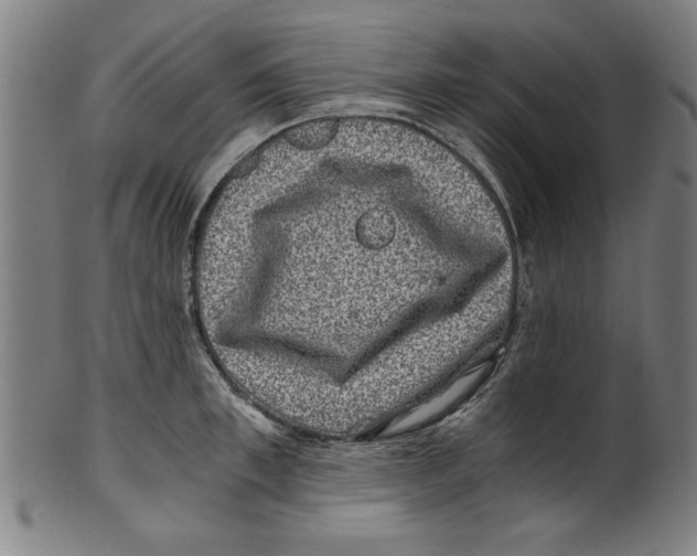 X0000100900997200807220947