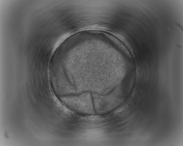 X0000100900998200807220947