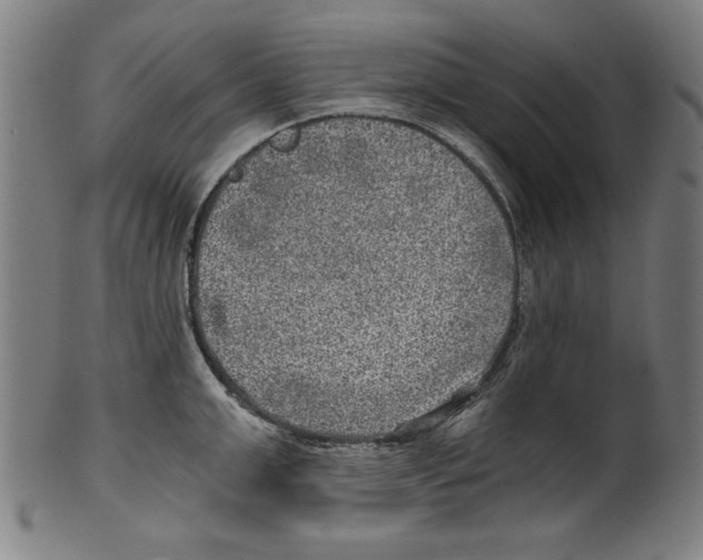 X0000100900999200807220947