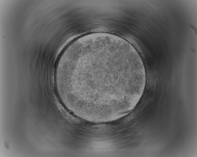 X0000100901000200807220947