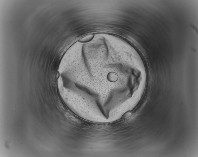 X0000100901001200807220947