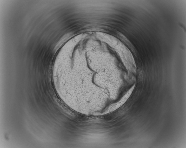 X0000100901002200807220947