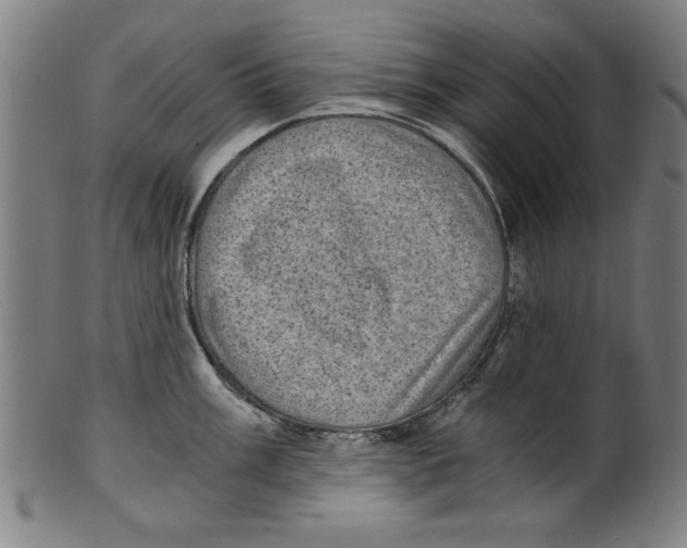 X0000100901003200807220947