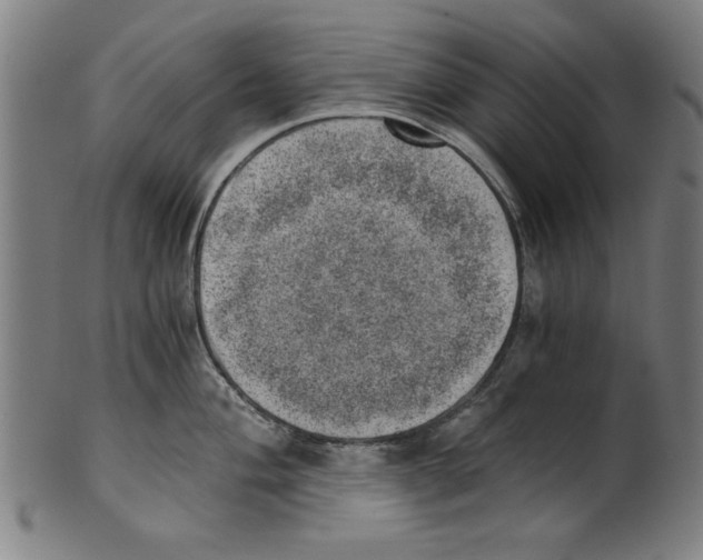 X0000100901004200807220947