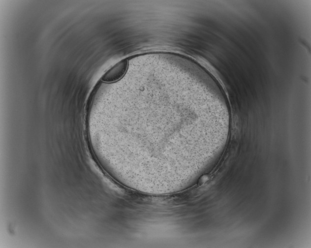 X0000100901005200807220947