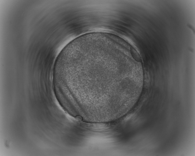 X0000100901007200807220947