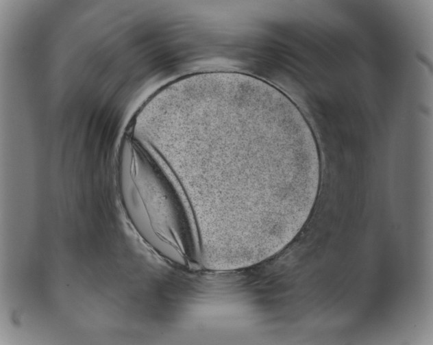 X0000100901008200807220947