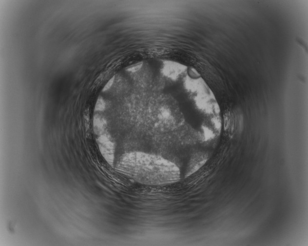 X0000100901011200807220946