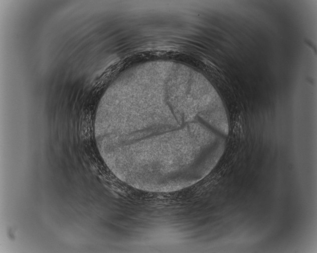 X0000100901014200807220946