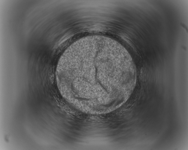 X0000100901015200807220946