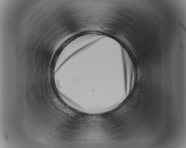 X0000100901020200807220947