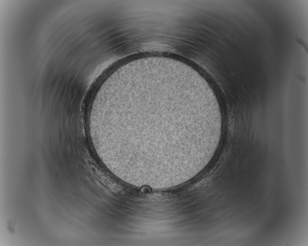 X0000100901022200807220947