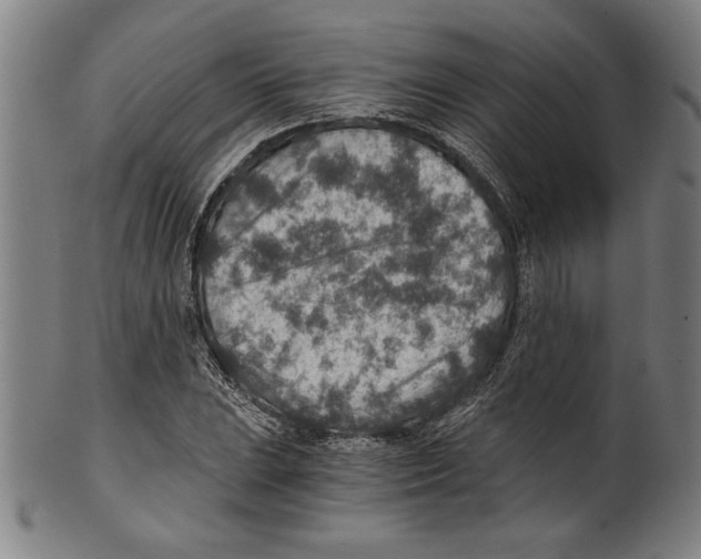 X0000100901023200807220947