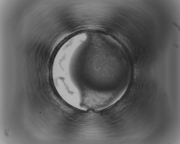 X0000100901024200807220947