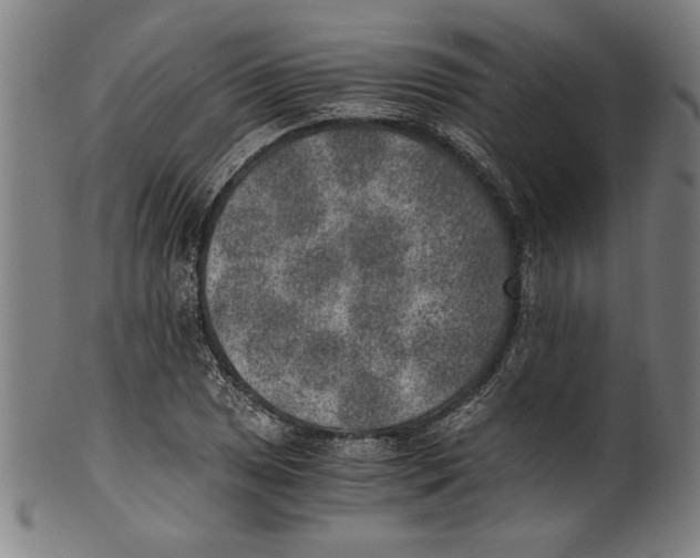 X0000100901025200807220947