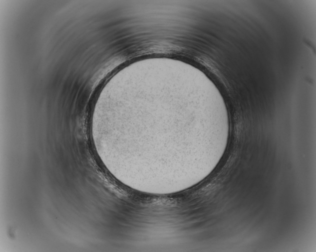 X0000100901026200807220947