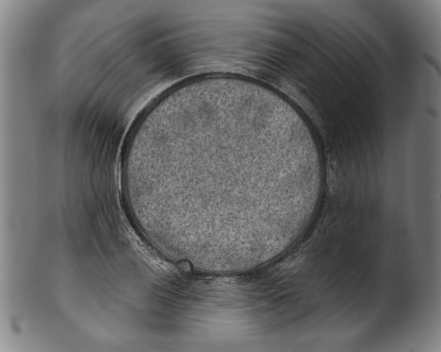 X0000100901028200807220947