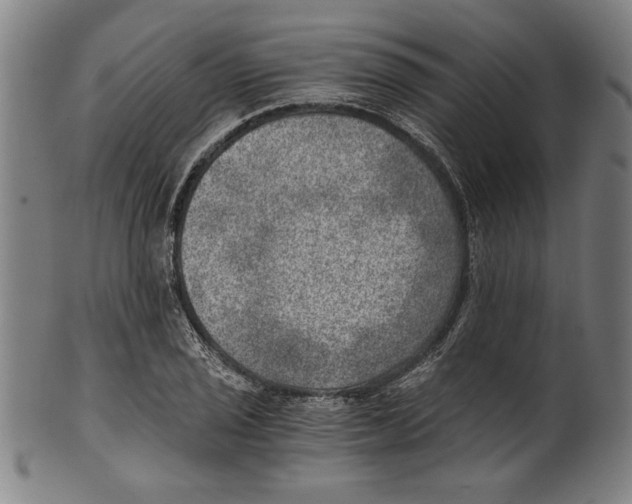 X0000100901029200807220947