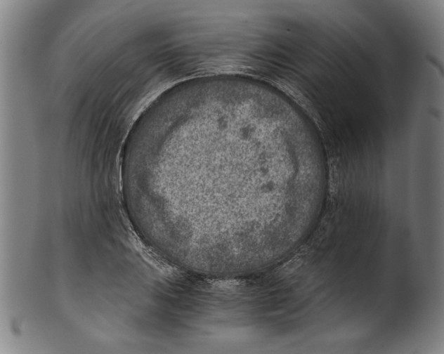 X0000100901031200807220947